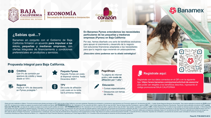 Financiamiento MIPYMES-SEI-BANAMEX