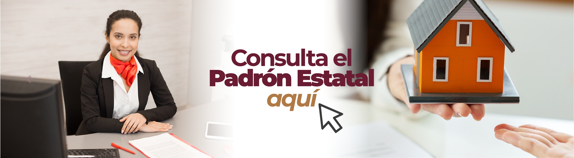 consulta