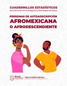 Cuadernillo Afromexicanos