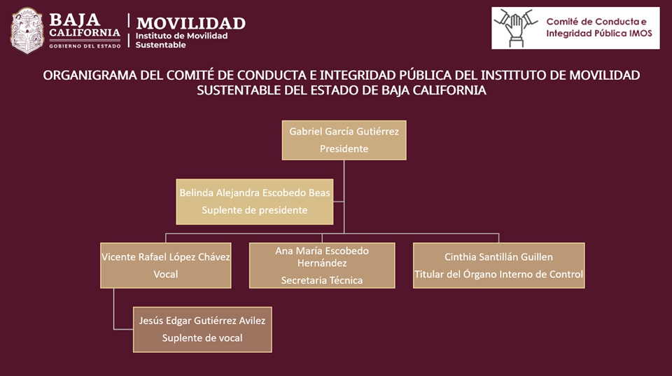 organigrama
