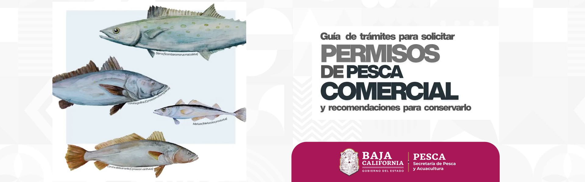 Permisos de Pesca