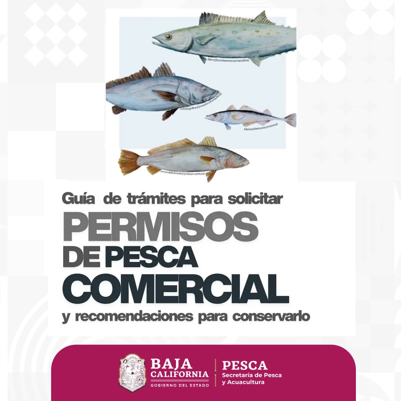 Permisos de Pesca